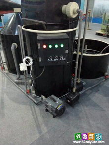 工厂化养殖与无土栽培 现代都市农业的双翼